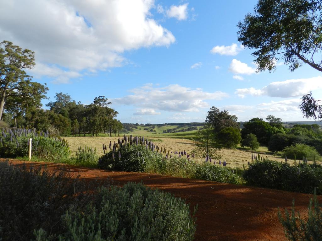 Shambhala Guesthouse Kangaroo Gully Buitenkant foto